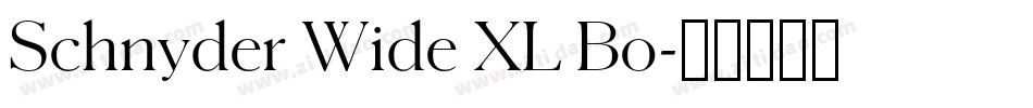 Schnyder Wide XL Bo字体转换
